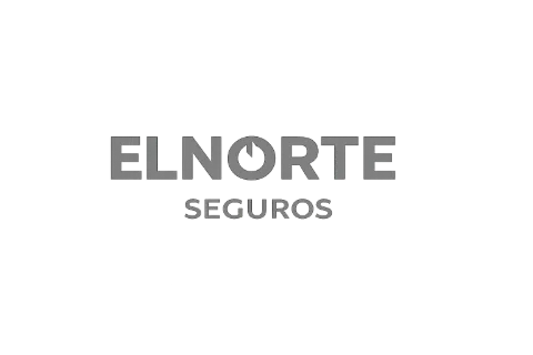 Logo El Norte Seguros